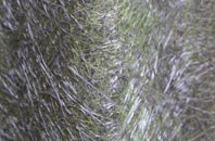 Inverness fibreglass roof work